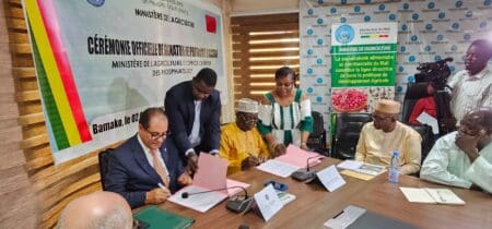 Mali | Agriculture durable, OCP Africa s’engage, avec l’appui de la BM, à déployer des solutions adaptées Ce partenariat porte sur plusieurs initiatives clés visant à renforcer l'agriculture et promouvoir la santé des sols au Mali à travers la mise en place par OCP Africa des parcelles expérimentales pour tester des solutions innovantes destinées à restaurer la fertilité des sols. Dans ce cadre une cartographie numérique sera élaborée, permettant une fertilisation précise selon les principes des 4R : le bon moment, la bonne source, le bon ratio et le bon endroit, précise-t-on de même source.