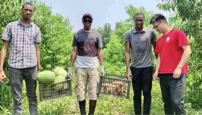 Chine | Lancement d’une structure sino-africaine pour l’innovation agricole La Chine ambitionne également de contribuer à la réduction de la pauvreté en Afrique, ainsi qu'à l'atteinte des objectifs de développement durable des Nations unies et de l'Agenda 2063 de l'Union africaine (UA), a-t-il poursuivi.
