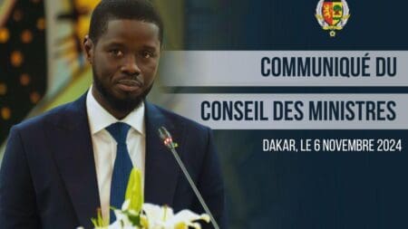 En priorité, il s’agit de mettre en œuvre une doctrine de ce secteur autour d'une meilleure structuration des activités et des acteurs. L'autre point majeur de ce plan consiste à «tirer le meilleur de l’économie informelle», ce qui passe par une réorganisation de l'encadrement des différentes entités publiques dans les domaines de la formation, du financement, de la fiscalité et de l'installation dans des zones spéciales.