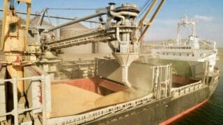 Ce changement est aussi une rupture qui met fin à plus de cinquante-cinq ans d’activités de l’acheteur public investi de la mission de trader sur le marché international de denrées alimentaires pour le compte du gouvernement. Selon Le Caire, cette décision vise notamment à «assurer une meilleure gestion de l’approvisionnement en blé à l’import.» Créée en 2022, l’agence Mostakbal Misr était initialement axée sur des projets de mise en valeur des terres et l’approvisionnement en blé sur le marché local.