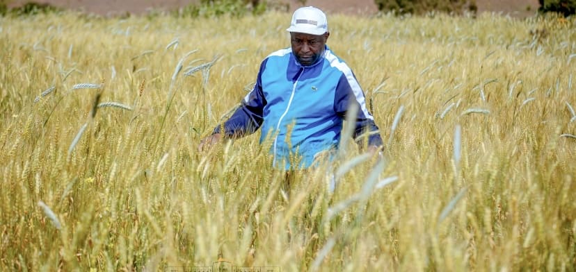 Burundi | Le gouvernement prépare la validation de son supplément vert pour la stratégie nationale de mise en œuvre de la ZLECAf Les ateliers, qui se tiendront du 3 au 5 décembre 2024 ont pour objectif de préparer l'élaboration d'un document stratégique destiné à positionner le Burundi afin de bénéficier des opportunités de commerce vert intra-africain. Les ateliers aborderont également des sujets tels que : la production durable, l'adaptation au changement climatique basée sur des données, les normes vertes et la participation des femmes dans les chaînes de valeur vertes