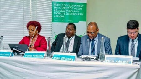 La géoéconomie, définie comme l'utilisation d'instruments économiques pour atteindre des objectifs géopolitiques, est devenue un élément central de la politique étrangère des États. Les États utilisent un large éventail d'outils géoéconomiques, allant de la politique commerciale aux sanctions, en passant par les investissements, le cyberespace, l'aide au développement, les politiques financières et monétaires, et les politiques énergétiques mais également les matières premières. L'objectif est de promouvoir et défendre leurs intérêts nationaux et d'obtenir des résultats géopolitiques bénéfiques.