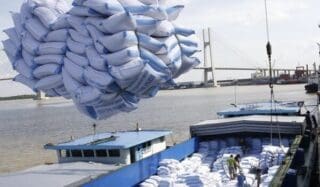 Agroalimentaire | Le prix du kg de riz sous pression du fret maritime Le tarif pour le transport d’un conteneur de riz équivalent 20 pieds (EVP) du port indien de Vizag à destination de Cotonou et de Lomé, est passé à 2.400 dollars, contre 1.900 en octobre dernier, soit 500 dollars de plus en un an. Selon les négociants interrogés par la branche de l’agence S&P spécialisée dans les matières premières, cet emballement du coût du fret maritime s’explique par l’afflux massif de cargaisons depuis la mi-novembre.