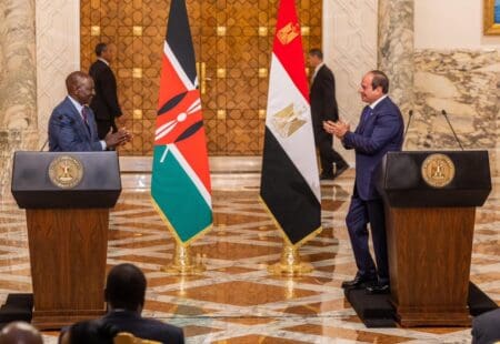 Selon le communiqué conjoint, Le Caire et Nairobi ont conclu douze accords au total, couvrant des domaines tels que les consultations politiques et la formation diplomatique, la coopération en investissement entre les agences des deux pays, les partenariats maritimes, l’égalité des sexes, l’autonomisation des jeunes et le développement urbain, la recherche scientifique, les télécommunications, l’espace et la gouvernance durable.