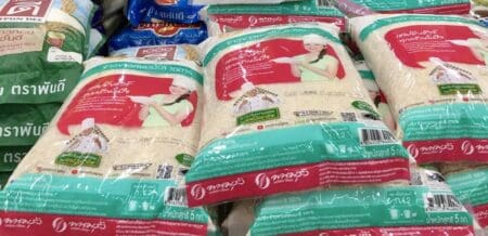 Le scénario pronostiqué par le Cirad a pour toile de fond principale le niveau confortable des récoltes et des stocks. En effet, la campagne 2024/2025 s’annonce exceptionnelle avec une production de riz blanchi projetée à 532,8 millions de tonnes selon le Département américain de l’Agriculture (USDA). C’est plus de 10 millions de tonnes de plus que la campagne précédente et un nouveau record. Cette performance s’explique par l’excellente récolte prévue en Inde, à 145 millions de tonnes.