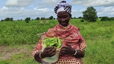 Agriculture | Le Burkina Faso veut accélérer sur les zones irriguées Dans un communiqué publié lundi 24 février, le ministère de l’Economie et des Finances indique que ces ressources seront affectées à un projet d’aménagement de 2.000 hectares de zones irriguées à Sono Kuri, une localité située dans la province de la Kossi. Cette initiative fait partie des efforts destinés à renforcer une irrigation agricole encore sous-exploitée dans le pays.