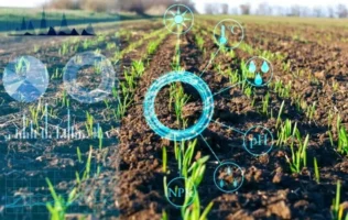 Depuis un an, ce Nigérian de 34 ans qui conjugue son métier d'analyste informatique à son activité agricole utilise un nouvel outil d'intelligence artificielle développé par une start-up locale dont l’objectif est de faire basculer la région de Jos, dans le centre du Nigeria, vers une agriculture 2.0. Jos, capitale de l'Etat de Plateau, située à plus de 1.000 mètres d'altitude, est réputée pour son climat clément et son agriculture maraîchère dont les fruits et légumes se retrouvent sur les étals des grandes villes du pays.