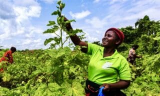 Alors que le monde est aux prises avec le changement climatique, l'Afrique est confrontée à l'urgence de parvenir à une agriculture à émissions nettes zéro. Le continent doit faire face aux phénomènes météorologiques extrêmes qui menacent la sécurité alimentaire tout en réduisant les émissions liées à l'élevage, à la riziculture et à l'utilisation d'engrais.
