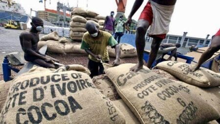 Si la transformation de cacao émerge depuis 5 ans en Côte d’Ivoire, elle n’a pas encore permis de construire un écosystème industriel local de la production de chocolat, constate le Département américain de l’agriculture (USDA) dans un rapport qu’il vient de publier sur le secteur cacaoyer ivoirien.