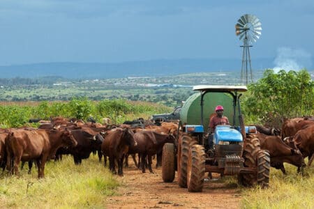 La RDC, dotée d’un potentiel exceptionnel, continue de dépendre quasi exclusivement de l’exportation de ses minerais bruts. Cette dépendance est non seulement risquée, mais elle est aussi synonyme de fragilité économique et de perte d’opportunités. Le monde évolue, les marchés s’ouvrent, mais le Congo reste à la traîne.