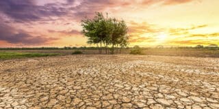 Climat | Les conditions météorologiques extrêmes font des ravages en Afrique L’année 2024 se classe à la première ou la deuxième place des années les plus chaudes observées. De plus, la dernière décennie a été la plus chaude jamais enregistrée, constate le rapport, notant qu’autour des côtes africaines, les températures de surface de la mer ont atteint des valeurs record et que le réchauffement s’est avéré particulièrement rapide dans l’océan Atlantique et la mer Méditerranée.