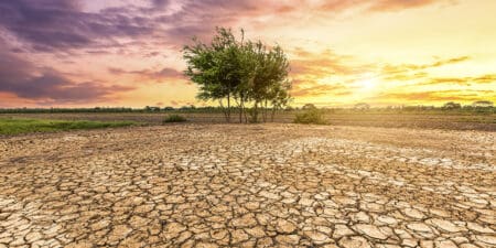 L’année 2024 se classe à la première ou la deuxième place des années les plus chaudes observées. De plus, la dernière décennie a été la plus chaude jamais enregistrée, constate le rapport, notant qu’autour des côtes africaines, les températures de surface de la mer ont atteint des valeurs record et que le réchauffement s’est avéré particulièrement rapide dans l’océan Atlantique et la mer Méditerranée.