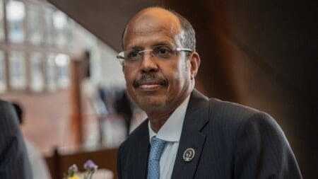 S'exprimant lors du Sommet des affaires USA-Afrique, qui se tient actuellement dans la capitale angolaise, M. Ali Youssouf estime que l’Afrique doit impérativement renforcer son intégration économique pour pouvoir développer le commerce intra-africain, qui ne représente guère que 18 % du commerce total du continent.