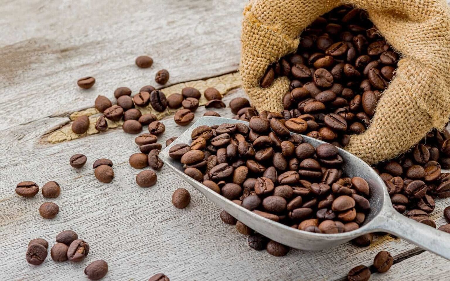 Commodities | En conquérant la Chine, le café s’ouvre de belles perspectives Dans l’Empire du Milieu, la consommation de café a été multipliée par plus de 2 passant de 2,4 millions de sacs à environ 5,6 millions de sacs l’année dernière. Ce niveau a propulsé le pays au rang de sixième marché mondial derrière l’Union européenne, les Etats-Unis, le Brésil, les Philippines et le Japon. La conversion des jeunes chinois au café s’est traduite par un développement spectaculaire des chaînes de distribution locales et des réseaux de franchises des majors internationaux comme Starbucks. Voilà qui ouvre des opportunités aux grands producteurs africains au moment où les cours internationaux du café restent fermes, malgré une accalmie de ces derniers jours.