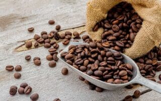 Commodities | En conquérant la Chine, le café s’ouvre de belles perspectives Dans l’Empire du Milieu, la consommation de café a été multipliée par plus de 2 passant de 2,4 millions de sacs à environ 5,6 millions de sacs l’année dernière. Ce niveau a propulsé le pays au rang de sixième marché mondial derrière l’Union européenne, les Etats-Unis, le Brésil, les Philippines et le Japon. La conversion des jeunes chinois au café s’est traduite par un développement spectaculaire des chaînes de distribution locales et des réseaux de franchises des majors internationaux comme Starbucks. Voilà qui ouvre des opportunités aux grands producteurs africains au moment où les cours internationaux du café restent fermes, malgré une accalmie de ces derniers jours.
