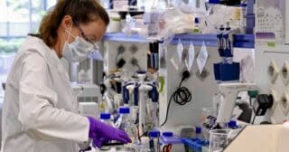 Ce traitement, le ruxolitinib, pourrait en particulier être utilisé pour combattre l'inflammation et la carence en sucre développées en cas de forme sévère de la malaria, a souligné l’université dans un communiqué, notant que jusqu'à présent, ce traitement a uniquement été testé sur des souris atteintes de paludisme qui présentaient des symptômes similaires à ceux des patients humains.