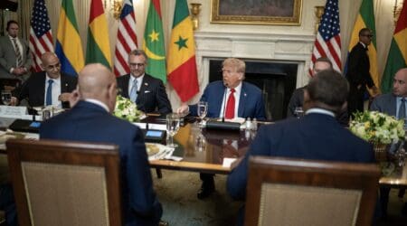 Les États utilisent divers instruments géoéconomiques pour influencer la politique étrangère, comme l’ont décrit Blackwill et Harris dans «War by other means geoeconomics and state craft» (2016), ces outils incluent la politique commerciale, les investissements, les sanctions économiques, les cyberattaques, l'aide au développement, les politiques financières et monétaires (taux de change), ainsi que le contrôle des ressources énergétiques et des matières premières.
