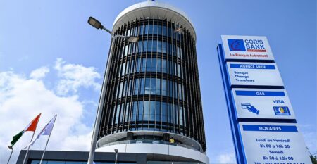 Le rapport 2024 de la BCEAO met en lumière une réalité surprenante pour les sociétés holding burkinabè, notamment les entités qui détiennent et gèrent des parts dans les établissements de crédit. Leur résultat net a chuté de 12,4%, s’établissant à 100,20 milliards de F CFA, contre 114,40 milliards en 2023. Cette baisse est d’autant plus notable qu’elle contraste avec la solide croissance de leurs produits nets bancaires (PNB), l’équivalent de leur chiffre d’affaires. Ces derniers ont en effet progressé de 9,7%, atteignant 371,9 milliards de F CFA.