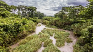 «Les solutions fondées sur la nature constituent un volet essentiel, mais sous-financé, de la transition climatique. Grâce à cet investissement, Swedfund fait ses premiers pas dans ce domaine, guidée par l'intégrité et l'impact à long terme, et par sa conviction que de nouveaux modèles économiques peuvent allier durabilité et viabilité financière,» déclare Maria Håkansson, PDG de Swedfund.