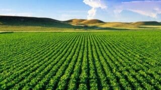 Le Crédit Agricole du Maroc et le ministère de l’Agriculture, de la Pêche maritime, du Développement rural et des Eaux et Forêts ont franchi une nouvelle étape dans leur coopération. Le 23 avril 2026, en marge du Salon international de l’agriculture au Maroc (SIAM), les deux institutions ont signé à Meknès une convention de partenariat portant sur le déploiement d’un programme d’éducation financière au profit des bénéficiaires du projet PADERMO dans la région de l’Oriental.