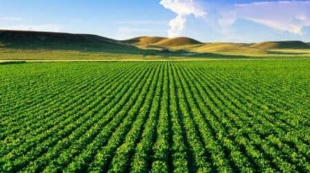 Le Crédit Agricole du Maroc et le ministère de l’Agriculture, de la Pêche maritime, du Développement rural et des Eaux et Forêts ont franchi une nouvelle étape dans leur coopération. Le 23 avril 2026, en marge du Salon international de l’agriculture au Maroc (SIAM), les deux institutions ont signé à Meknès une convention de partenariat portant sur le déploiement d’un programme d’éducation financière au profit des bénéficiaires du projet PADERMO dans la région de l’Oriental.