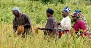 L’Agence African Risk Capacity (ARC) et TrustAfrica franchissent une nouvelle étape dans la lutte contre les effets du changement climatique en Afrique. Les deux institutions ont annoncé la signature d’un protocole d’accord stratégique visant à promouvoir une gestion des risques de catastrophe et des politiques climatiques intégrant pleinement la dimension du genre et de l’inclusion sociale.