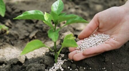 « Les producteurs de pays tels que le Royaume du Maroc peuvent approvisionner les États-Unis en engrais phosphatés sans perturbation à ce stade. Il est impératif de faciliter immédiatement l'importation d'engrais phosphatés en provenance du Royaume du Maroc afin d'atténuer le risque important pesant sur la production agricole et alimentaire des États-Unis, de protéger la sécurité économique et nationale des États-Unis, et d'assurer un approvisionnement alimentaire intérieur stable », a-t-il déclaré dans une proclamation relayée par le site de la Maison-Blanche.