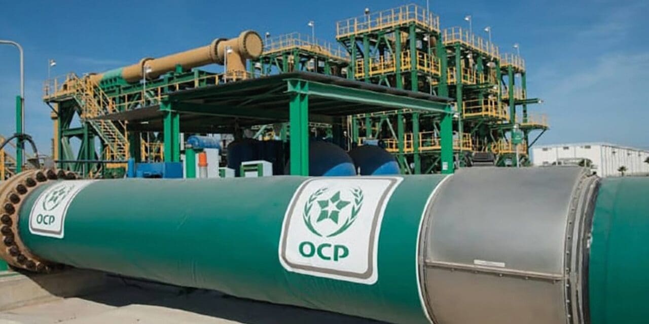 OCP est présenté dans le rapport du RED Index comme l’un des rares groupes africains capables de rivaliser à l’échelle
mondiale dans un secteur stratégique.