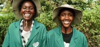 Afrique subsaharienne | 12 millions de dollars pour l’agritech : Proparco parie sur l’innovation agricole contre le réchauffement Proparco poursuit son offensive en faveur de l'agriculture durable en Afrique. L'institution française de financement du secteur privé a annoncé, jeudi 16 juillet, un investissement de 12 millions de dollars dans l'Acumen Resilient Agriculture Fund II (ARAF II), un fonds de capital-risque destiné à accompagner les jeunes entreprises innovantes de l'agriculture en Afrique subsaharienne.