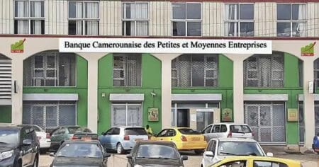 Cameroun | UE : Bruxelles débloque un soutien financier aux PME Présenté dans le cadre du Projet d'appui au développement économique par la promotion des chaînes de valeur et de l'initiative privée (PAD-CV), ce dispositif devrait permettre de mobiliser jusqu'à près de 30 milliards de FCFA de prêts auprès des banques locales, grâce à une facilité financière d'environ 6 milliards de FCFA.