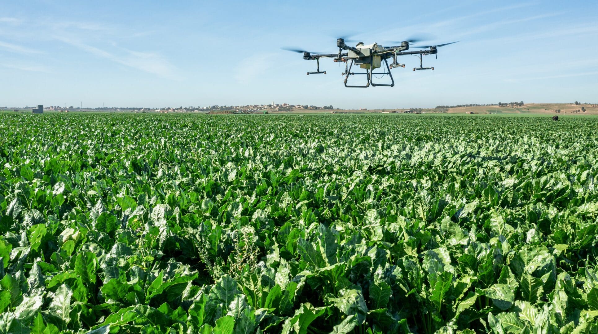 Maroc | Sucre : 63 000 hectares pour relancer la production nationale L'interprofession du sucre a des raisons d'être optimiste. Les barrages alimentant les cinq périmètres sucriers affichent un taux de remplissage moyen de 67 %, contre 32 % à la même période l'an dernier. Un répit hydrique qui permet d'envisager sereinement la nouvelle campagne, dont les plantations de canne à sucre ont démarré le 20 août 2026, suivies des semis de betterave le 15 septembre.