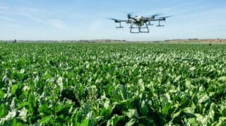 L'interprofession du sucre a des raisons d'être optimiste. Les barrages alimentant les cinq périmètres sucriers affichent un taux de remplissage moyen de 67 %, contre 32 % à la même période l'an dernier. Un répit hydrique qui permet d'envisager sereinement la nouvelle campagne, dont les plantations de canne à sucre ont démarré le 20 août 2026, suivies des semis de betterave le 15 septembre.