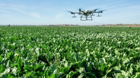 L'interprofession du sucre a des raisons d'être optimiste. Les barrages alimentant les cinq périmètres sucriers affichent un taux de remplissage moyen de 67 %, contre 32 % à la même période l'an dernier. Un répit hydrique qui permet d'envisager sereinement la nouvelle campagne, dont les plantations de canne à sucre ont démarré le 20 août 2026, suivies des semis de betterave le 15 septembre.