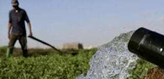La souveraineté alimentaire est sur toutes les lèvres. Le Sénégal veut réduire ses importations de riz, la Côte d'Ivoire accélère la transformation locale, le Cameroun relance ses filières vivrières. Des objectifs légitimes. Mais quand on regarde de plus près, la question de l'eau agricole reste étrangement absente des plans concrets. Or les chiffres parlent d'eux-mêmes : à peine 6 % des terres cultivées en Afrique subsaharienne sont irriguées. Tout le reste dépend de la pluie. Une pluie qui, avec le dérèglement climatique, arrive de plus en plus tard, tombe de plus en plus fort et s'arrête de plus en plus tôt.